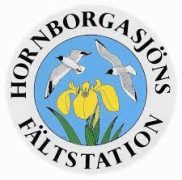 hbglogo