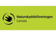 nflerum